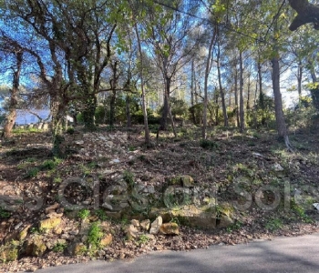 Cliquez pour en savoir plus...